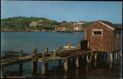 Old Oyster Houses, Cape Cod, Massachusetts Postcard