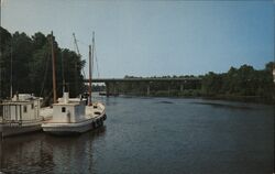 Pocomoke River & US 13 Bridge, Pocomoke City, MD Maryland F.W. Brueckmann Postcard Postcard Postcard