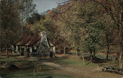 Patapsco State Park, Orange Grove Picnic Ground and Pavilion, MD Postcard