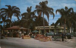 Ferris Groves Packing Plant, Floral City, Florida Postcard