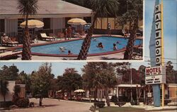 Haywood Motel, Myrtle Beach, SC - Pool and Street View Postcard