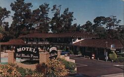 Del Monte Pines Motel, Monterey, California Postcard