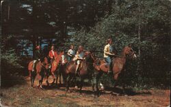 Four Girls on Horseback Trail Ride Postcard