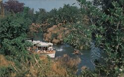 Jungle Cruise, Disneyland Postcard