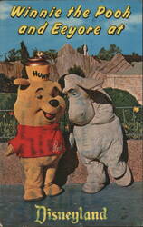 Winnie the Pooh and Eeyore at Disneyland Postcard