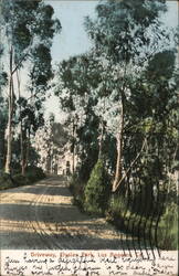 Driveway, Elysian Park, Los Angeles, CA California Postcard Postcard Postcard