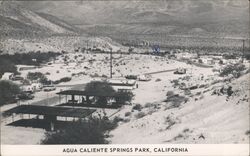 Agua Caliente Springs Park, California Postcard