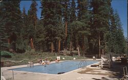 Berkeley Camp Swimming Pool, Echo Lake, California Postcard