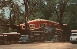 The Petrified Forest - main entrance, office and residence Postcard