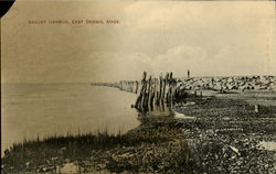 Sesuet Harbor Postcard