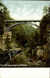 Upper Bridge Over Fall Creek Ithaca, NY Postcard Postcard