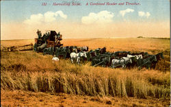 Harvesting Scene, A Combined Header And Thresher Scenic, CA Postcard Postcard