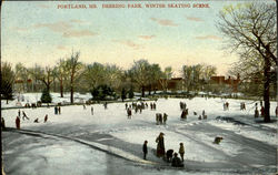 Deering Park, Winter Skating Scene Portland, ME Postcard Postcard