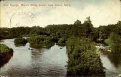 The Rapids, Huron River Scene Ann Arbor, MI Postcard Postcard