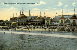 The Casino And Natatorium Santa Cruz, CA Postcard Postcard