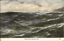 Ocean Swell Postcard