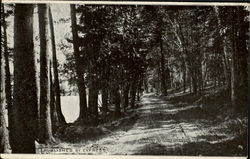 Roadway At Lake Dunnore Postcard