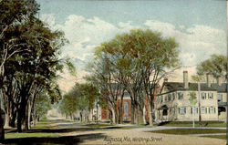 Winthrop Street Postcard