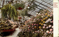 Interior Lincoln Park Conservatory Postcard