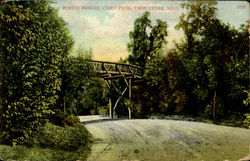 Rustic Bridge,Come Park Postcard