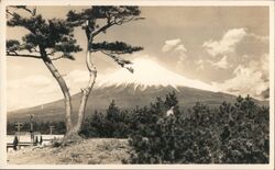 Mt. Fuji, Japan Postcard