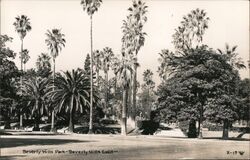 Beverly Hills Park - Beverly Hills Calif Postcard