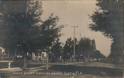 Center Street Looking South, Eustis, FL Florida Postcard Postcard Postcard