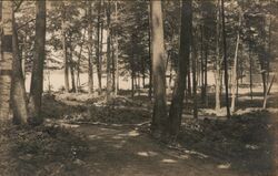 A Shady Walk to the Golf Club, Pine Grove Springs Hotel Postcard