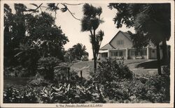 House in the Domain, Auckland, New Zealand Postcard