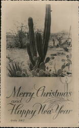 Aruba Cactus Merry Christmas and Happy New Year Postcard