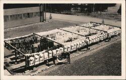 F Company Clothesline Postcard