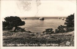 Egg Rocks and Fish Rocks, Oregon Coast Highway Postcard