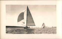 Sailing near Bar Harbor, Maine Postcard