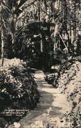 Sunken Gardens, St. Petersburg, FL Florida Postcard Postcard Postcard