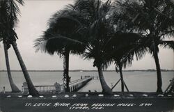 St. Lucie River from Pelican Hotel, Stuart, FL Postcard