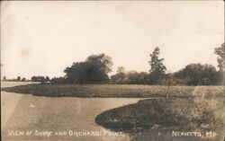 View of Shore and Orchard Point, Neavitt, MD Postcard