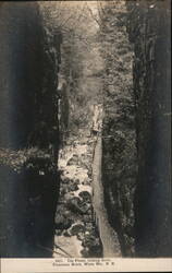 The Flume, looking down, Franconia Notch, White Mountains Postcard