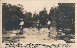 Three Men Fly Fishing, Gale River, White Mountains Postcard