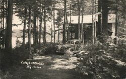 Cottage at Martins, Big Moose Postcard