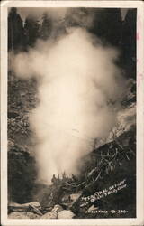 Terminal Geyser near Drakes Bad, Calif. Drakesbad, CA Postcard Postcard Postcard