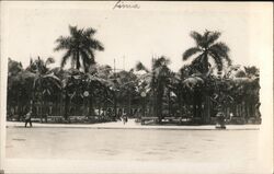 One of the Parks at Lima, Peru Postcard Postcard Postcard