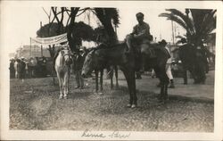 Policeman on Horseback, Lima, Peru Postcard Postcard Postcard