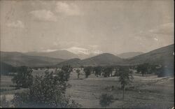 Mt. Washington from Intervale, NH Postcard