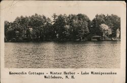 Keewaydin Cottages on Lake Winnipesaukee Postcard