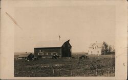 Farm with Barn, House, and Cattle Postcard