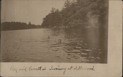 Ray and Everitt Swimming at Idlewood, Fourth Lake Postcard