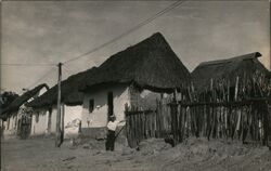 Man Standing by Wattle Fence in Front of Thatched Roof Home Postcard