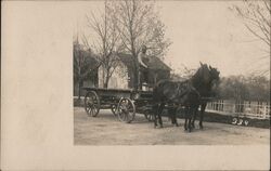 Man with Horse Drawn Wagon Postcard