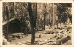 Campfire Bowl, Big Basin, California Postcard Postcard Postcard