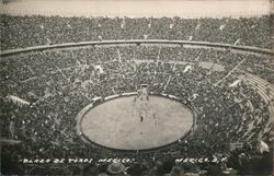 Plaza de Toros Mexico Postcard